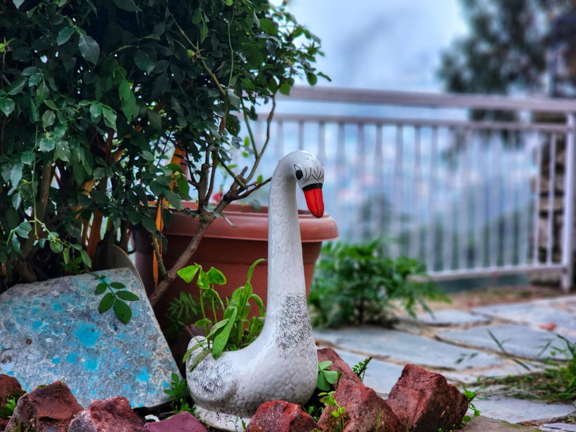 Aaram Baagh Simla Apartman Kültér fotó